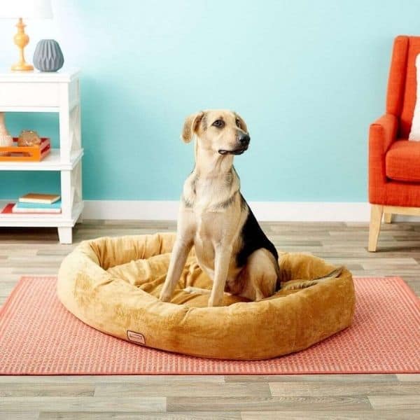 Armarkat Bolster Cat & Dog Bed, Brown