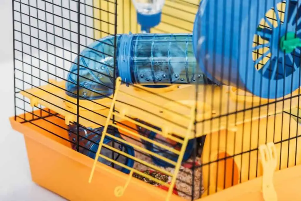 Hamster cage