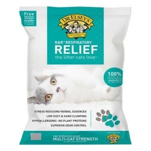 The 6 Best Dust Free Cat Litters For Asthma – Pets Motherland