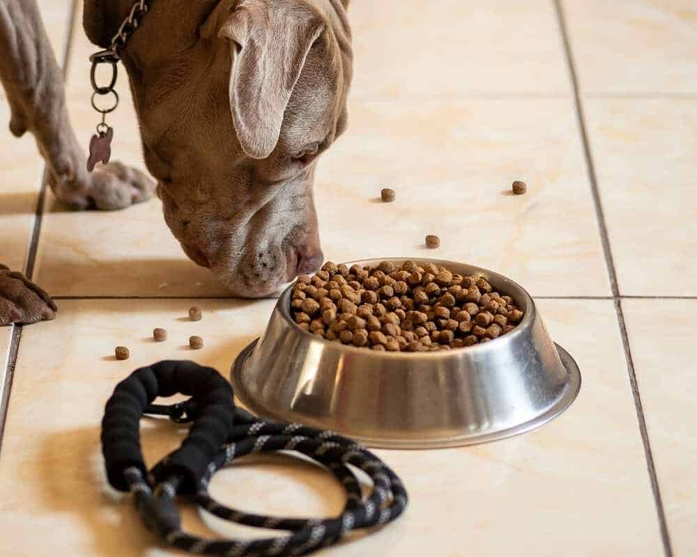 10 Dog Foods For Pitties What Are The Best Dog Food For Pit Bull?