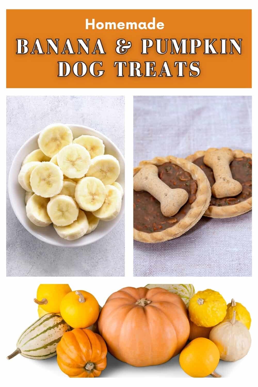 5 Easy and Healthy Pumpkin & Banana Dog Treat Recipes - Easy Homemade Dog Treats With Banana Peels