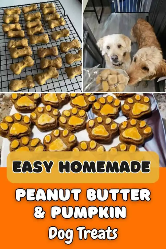 5 easy homemade pumpkin & peanut butter dog treat recipes