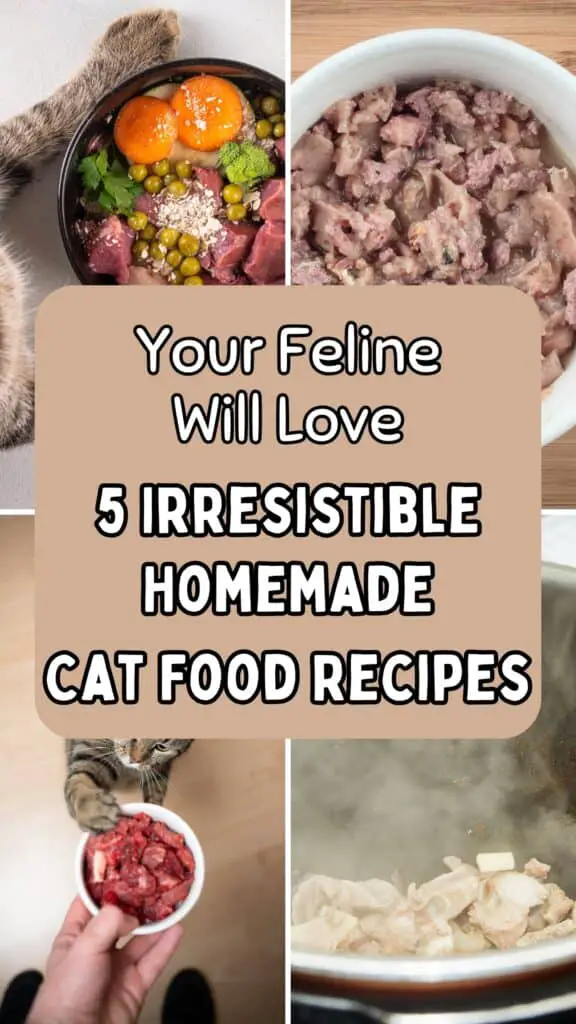 5 irresistible homemade cat food recipes