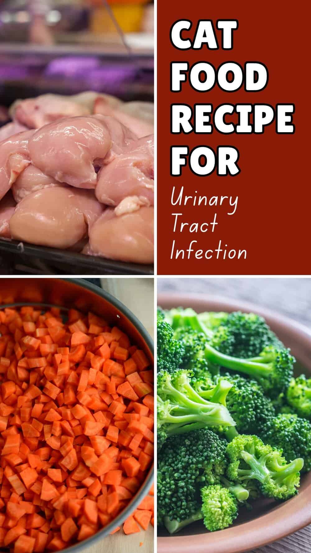 Healthy & Tasty! Homemade Cat Food for Urinary Tract Health - Cat Urinary Tract Infection Prevention With Food