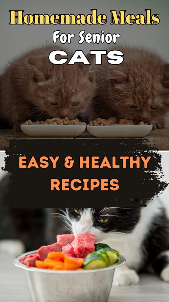 homemade meals for senior cats easy & healthy recipes