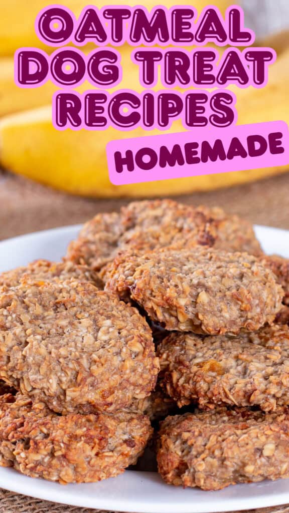 oatmeal dog treat recipes