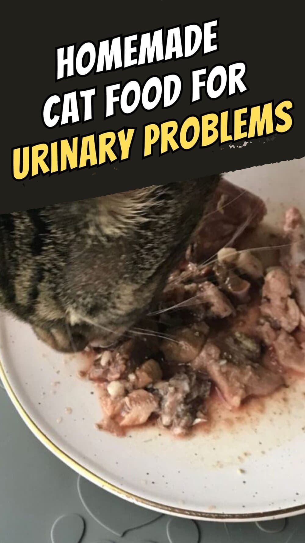 How to Make Homemade Urinary Cat Food? Keep Your Cat Healthy