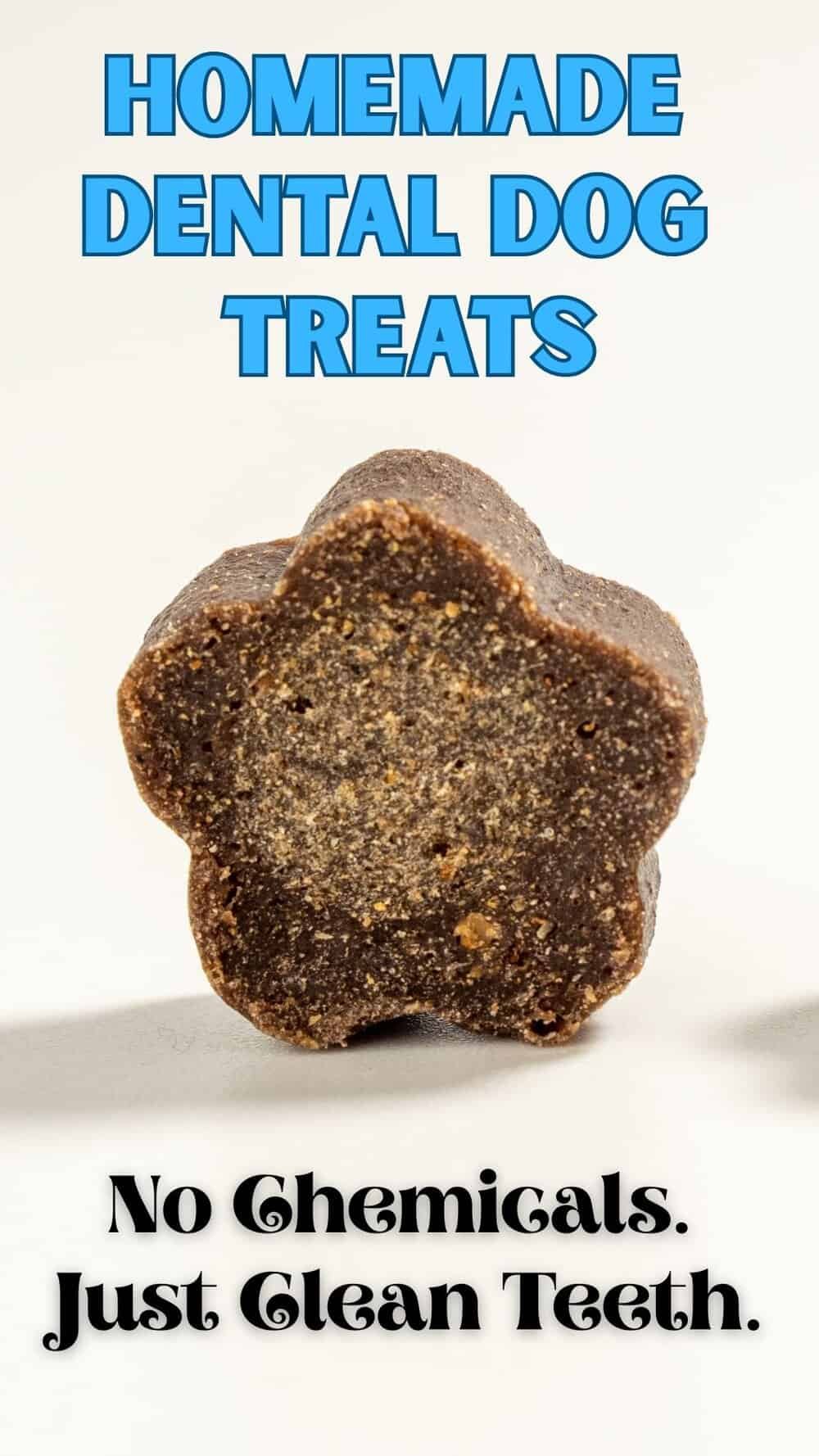 Snapshot of Homemade Dog Food For Dental Health Of Adult Dogs