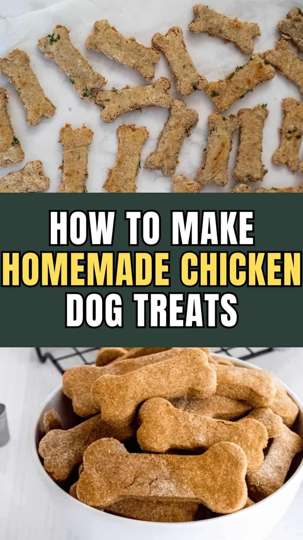 Image showcasing How to Make Irresistible Chicken Dog Treats at Home