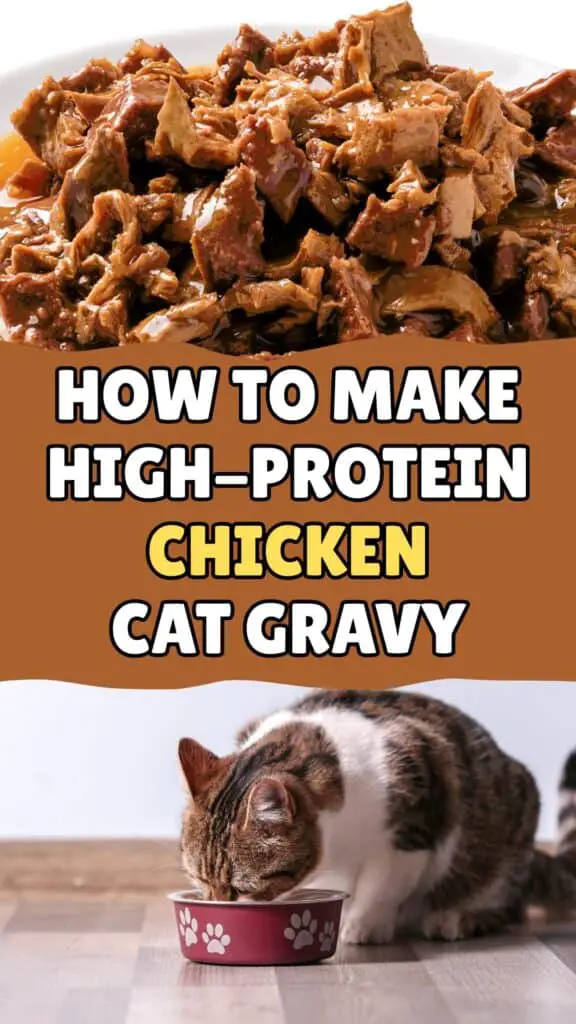 cat gravy