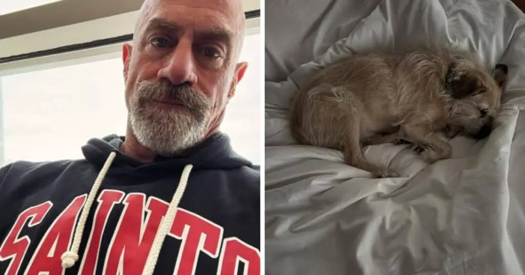 christopher meloni's dog